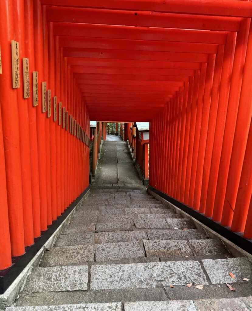 Taikodani Inari Shrine's one thousand vermillion Torii gates. Photo by Debbie Stone