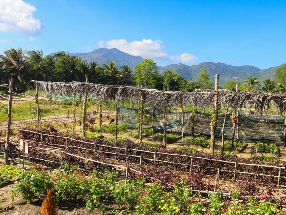 The 8500sqm sustainable farm is dedicated to cultivating an array of vegetables, fruits, herbs, and eggs for meals for guests and staff.