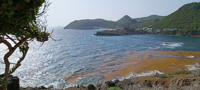 St Barts