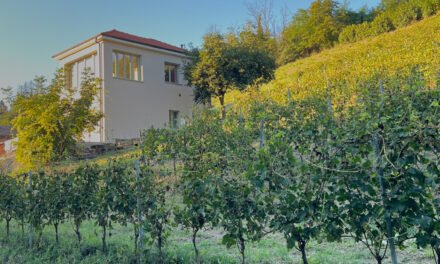 Beautiful, Furnished Home for Sale in Italian Wine Country