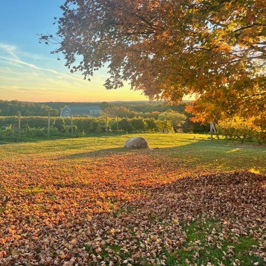 the grounds in Conneticut