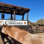 Enchanting Experiences at Rancho de los Caballeros in Wickenburg, AZ