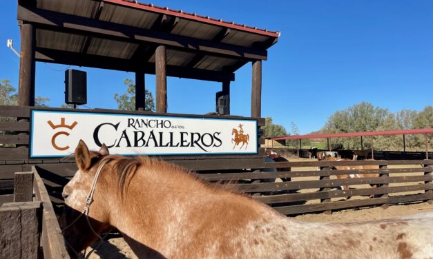 Enchanting Experiences at Rancho de los Caballeros in Wickenburg, AZ