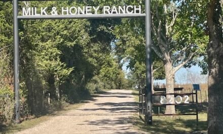 The Land of Milk & Honey in Brenham, Texas