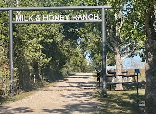 The Land of Milk & Honey in Brenham, Texas