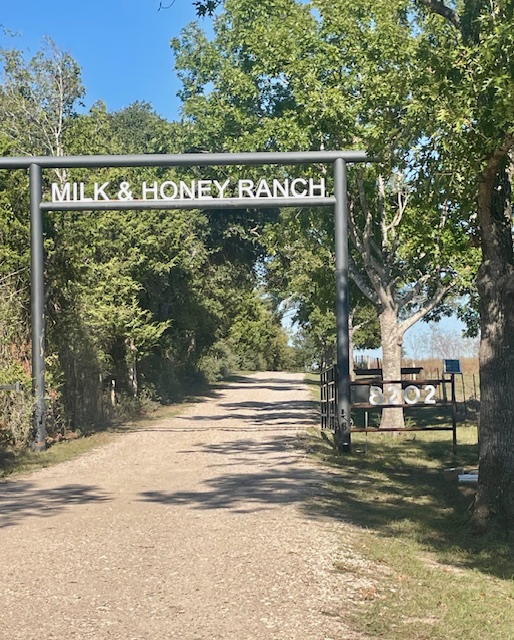 The Land of Milk & Honey in Brenham, Texas