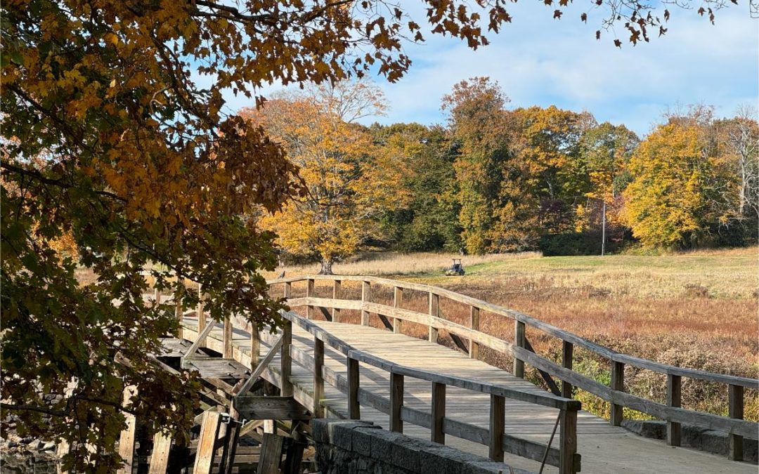 History comes alive in Lexington and Concord