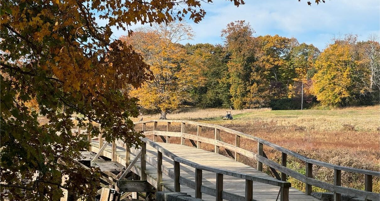 History comes alive in Lexington and Concord