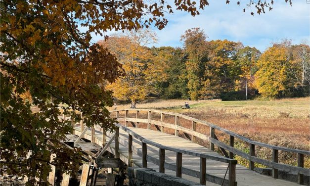 History comes alive in Lexington and Concord