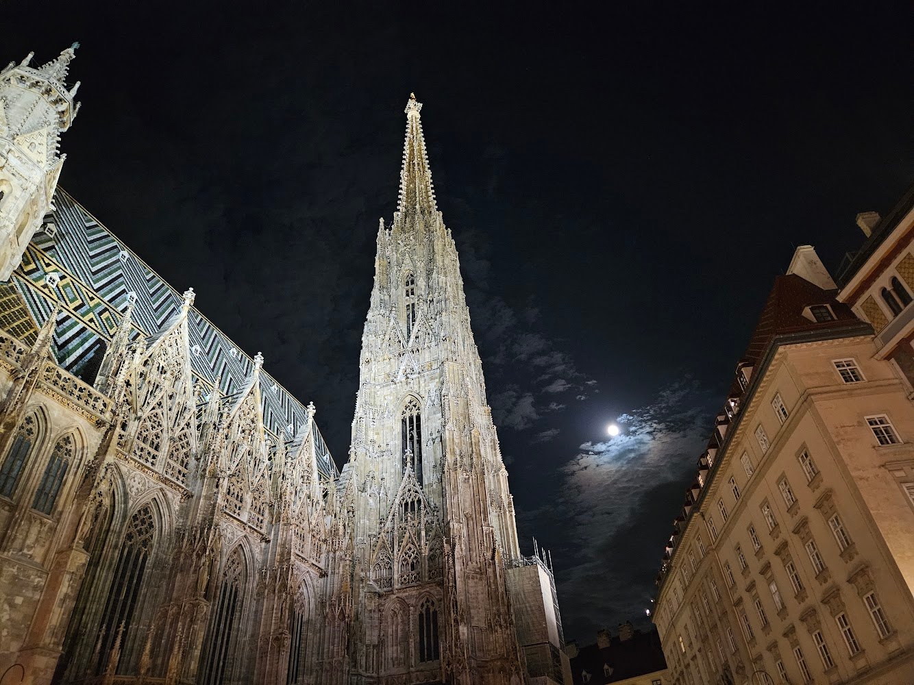 St. Stephen's Cathedral at night